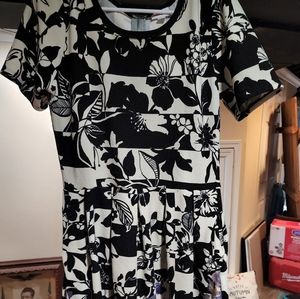 Lularoe Amelia